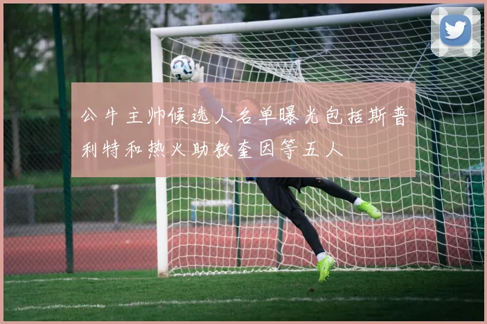 公牛主帅候选人名单曝光包括斯普利特和热火助教奎因等五人