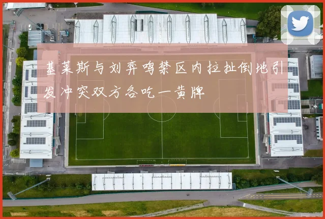 基莱斯与刘弈鸣禁区内拉扯倒地引发冲突双方各吃一黄牌